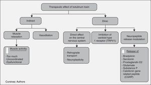 Therapeutic effect of botulinum toxin.