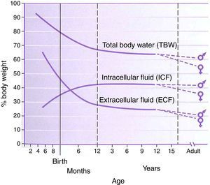 Total body water, intracellular fluid and extracellular fluid percent body weight for age in children. This figure was published in Nelson Textbook of Pediatrics 17th edition. Richard E. Behrman, Robert M. Kliegman, H.B. Jenson. Pathophysiology of Body Fluids and Fluid Therapy, Chapter 45, Page 191, Copyright Elsevier (2004). Source: (2) Reproduced with permission.