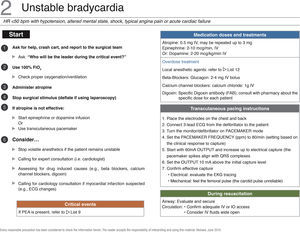 Checklist for the management of unstable bradycardia. PEA, pulseless electrical activity; FiO2, inspired oxygen fraction; IV, intravenous. Source: Translated and updated with authorization, based on “OR Crisis Checklists” available at: www.projectcheck.org/crisis.