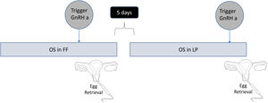 DuoStim protocol.