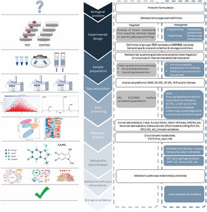 Analytical workflow for metabolomics studies.