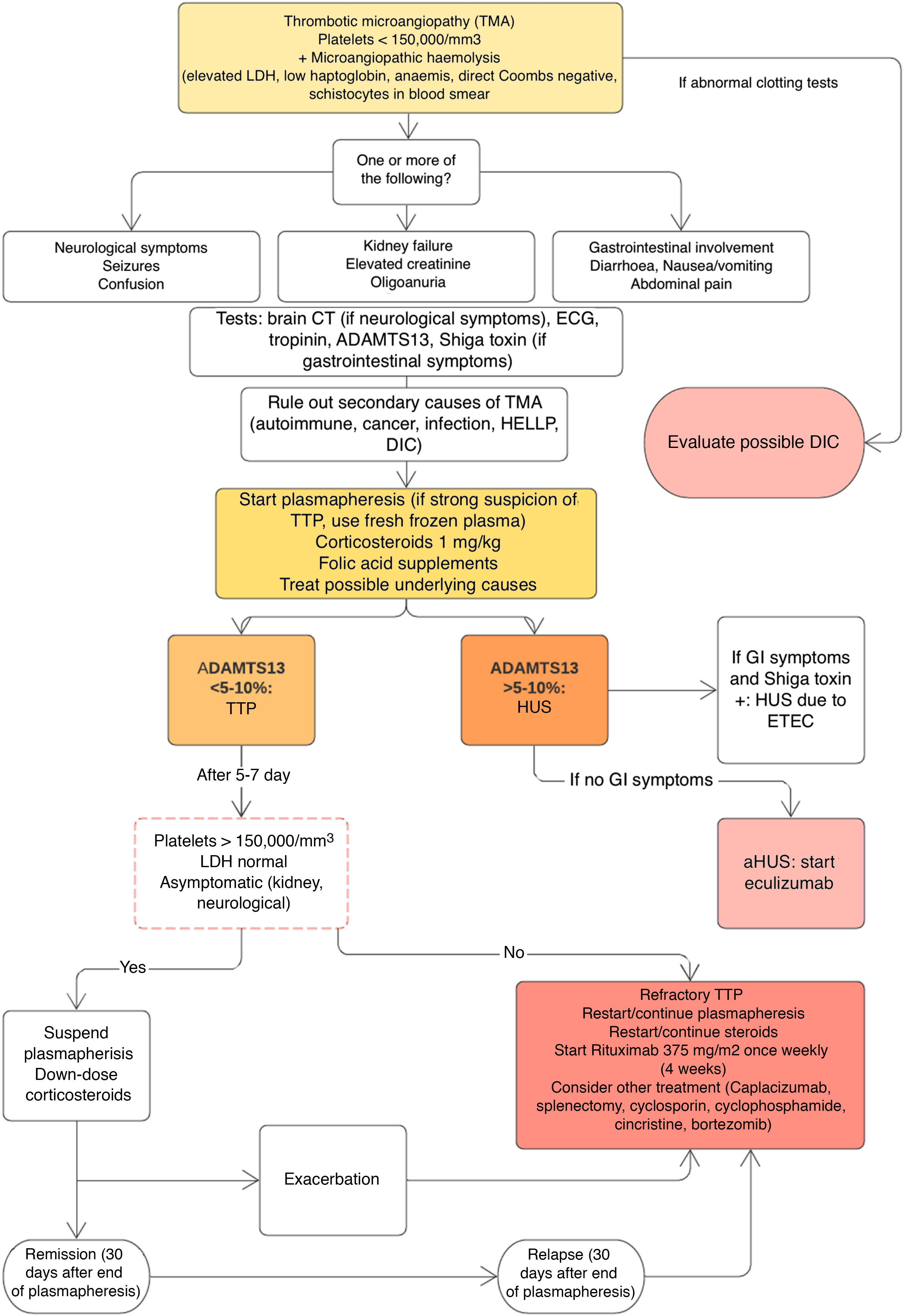 Diagnostic-therapeutic algorithm for thrombotic microangiopathy. A ...
