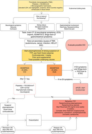 Diagnostic-therapeutic algorithm for thrombotic microangiopathy. A ...