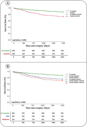 Kaplan-Meier overall 5-year survival by presence/absence of preoperative anaemia (A) and type of anaemia (B).