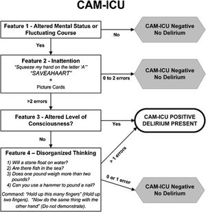 CAM-ICU Flowsheet. Reference: Miranda et al.153