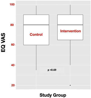 Effect of the intervention program on the EQ Visual Analogue Scale (VAS) compared to standard care at six months after the baseline visit.