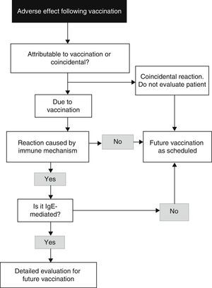 Algorithm for the identification of an allergy reaction to vaccines (modified from Kelso et al.7).