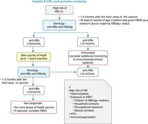 Decision algorithm for postvaccination monitoring in individuals at high risk for hepatitis B.