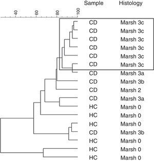 Cluster analysis of DGGE patterns of bacterial group of the duodenal microbiota CD patients and HC.