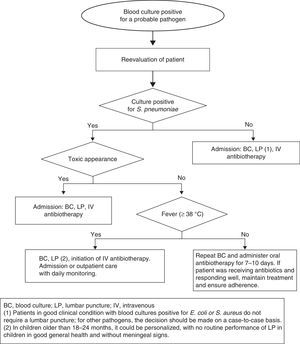 Approach to a positive blood culture in patients aged 3–36 months with fever without source.