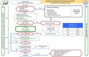 Algorithm for the resuscitation of nonvigorous newborns with meconium-stained amniotic fluid.