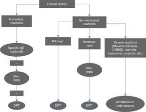 Algorithm for the diagnosis of immediate and non-immediate reactions to beta-lactam antibiotics. DPT, drug provocation test. Adapted from Fernández et al.10
