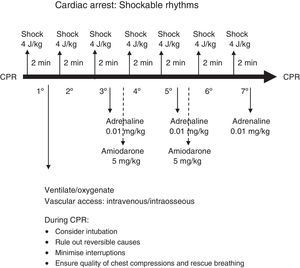 Advanced life support algorithm for shockable rhythms.