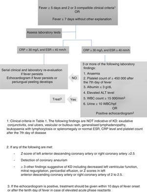 Suspected incomplete Kawasaki disease.