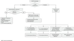 Algorithm for diagnosis of patients with 46,XX DSD. AMH, anti-Müllerian hormone.