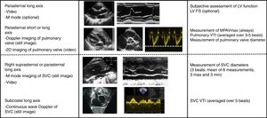 Functional echocardiography protocol during the period under study. We specify the echocardiographic windows included in the examination and the parameters that had to be recorded for each. FS, fractional shortening; LV, left ventricle; MPAVmax, main pulmonary artery peak velocity; SVC, superior vena cava; VTI, velocity-time integral.