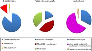 Type of physician managing patients in outpatient visits, foetal echocardiography examinations and inpatient care (percentages).