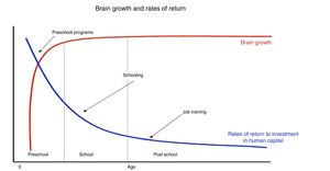 The period with the highest economic returns of investment is pregnancy through age 5 years. Source: Borrowed with the permission of Heckman & Carneiro Human Social Policy, 2003, RAND, Benefits and Costs of Early-Childhood Interventions, A Documented Briefing, Lynn A. Karoly, Susan S. Everingham, Jill Hoube, Rebecca Kilburn, C. Peter Rydell, Matthew Sanders, Peter W. Greenwood, April, 1997.