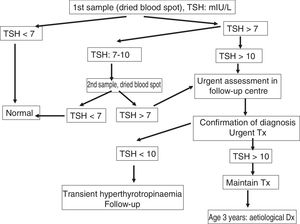 Algorithm of the protocol for early detection of congenital hypothyroidism.