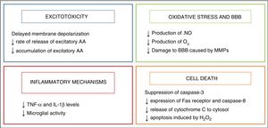 Effect of hypothermia on brain damage mechanisms.