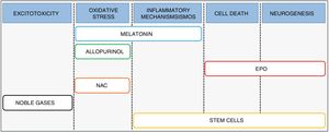 Possible therapeutic targets and main neuroprotective strategies currently subject to trials for management of neonatal HIE.