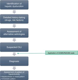 Algorithm for the differential diagnosis of CILI.