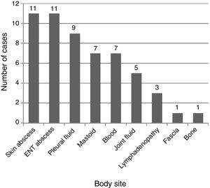 Anatomical sites from which the different microbiological isolates were collected (n=55).