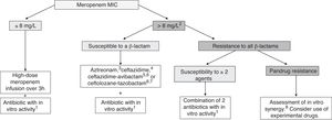 Treatment of infections by carbapenem-resistant Gram-negative bacilli in children. Adapted from Hsu AJ.40 aPossible antibiotics: aminoglycoside, colistin, fosfomycin, fluoroquinolone or tigecycline. Choose the antimicrobial considering the source of infection and the susceptibility of the isolate (Table 7). bConsider in case of a meropenem MIC > 4 mg/L, especially in severe infections. cAztreonam may be used against GNB that produce MBLs (VIM, NDM or IMP) or OXA-48-type carbapenemases, if coproduction of ESBL or AmpC is not detected; if either of the latter are detected, consider use of aztreonam in combination with ceftazidime-avibactam if there is evidence of a synergistic in vitro effect. dCeftazidime may be used in infection by OXA-48-producing GNB if coproduction of ESBL or AmpC is not detected. eCeftazidime-avibactam may be used in infections by GNB with carpapenem resistance that is not mediated by MBLs. fCurrently, ceftazidime-avibactam or ceftolozane-tazobactam, whose use would be off-label in children, should be restricted to severe infections in which the isolate has not exhibited susceptibility to other β-lactams, or in case of infection by a pandrug-resistant microorganism. Data from adults suggest that combined therapy is not neccesary when using these new antibiotics. gCeftolozane-tazobactam may be used in infections by P. aeruginosa with carbapenem resistance that is not mediated by carbapenemases. hSome combinations with which there is evidence of in vitro synergistic effect, but little clinical experience: ceftazidime-avibactam + aztreonam, meropenem + ertapenem, meropenem + fosfomycin, ceftazidime-avibactam + fosfomycin.