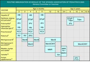 Routine immunisation schedule of the Spanish Association of Pediatrics 2020. (1) Hepatitis B vaccine (HB).- 3 doses of hexavalent vaccine at ages 2, 4 and 11 months. Children of HBsAg-positive mothers or mothers of unknown serologic status will also be given one dose of monovalent HB vaccine at birth, in addition to 0.5mL of hepatitis B immune globulin (HBIG) if maternal HBsAg-positive status is confirmed. Infants vaccinated at birth will adhere to the routine schedule for year 1 of life, and thus will receive 4 doses of HB vaccine. Unvaccinated children and adolescents should be given 3 doses of monovalent vaccine on a 0-, 1- and 6-months schedule. (2) Diphtheria, tetanus and acellular pertussis vaccine (DTaP/Tdap).- 5 doses: primary vaccination with 2 doses, at 2 and 4 months, of DTaP (hexavalent) vaccine; booster at 11 months (third dose) with DTaP (hexavalent) vaccine; at 6 years (fourth dose) with the standard load vaccine (DTaP-IPV), preferable to the low diphtheria and pertussis antigen load vaccine (Tdap-IPV), and at 12-14 years (fifth dose) with Tdap. (3) Inactivated poliovirus vaccine (IPV).- 4 doses: primary vaccination with 2 doses, at 2 and 4 months, and booster doses at 11 months (with hexavalent) and 6 years (with DTaP-IPV or Tdap-IPV). (4) Haemophilus influenzae type b conjugate vaccine (Hib).- 3 doses: primary vaccination at 2 and 4 months and booster dose at 11 months (with hexavalent). (5) Pneumococcal conjugate vaccine (PCV).- 3 doses: the first two at 2 and 4 months, with a booster dose starting at 11 months of age. The vaccine recommended in Spain by the CAV-AEP continues to be the PCV13. (6) Rotavirus vaccine (RV).- 2 or 3 doses of rotavirus vaccine: at 2 and 3-4 months with the monovalent vaccine or at 2, 3 and 4 months or 2, 4 and 5-6 months with the pentavalent vaccine. It is very important to start vaccination between 6 and 12 weeks of life in order to minimise risks, and to complete it before 24 weeks for the monovalent vaccine or 32 weeks for the pentavalent vaccine. Doses must be given at least 4 weeks apart. Both doses may be given at the same time as any other vaccine. (7) Meningococcal B vaccine (MenB).- 4CMenB. 3 doses: if vaccination starts at age 3 months, 2 doses at least 2 months apart with a booster starting at age 12 months and at least 6 months after the last dose in the primary vaccination series. If vaccination starts at 2 months, 4 doses are needed. Administration at least 15 days apart from other injectable inactivated vaccines is recommended up to age 18 months to minimise potential reactogenicity. The separation by a 15-day interval is not necessary for the varicella, MMR and rotavirus vaccines. (8) Meningococcal C conjugate vaccine (MenC) and meningococcal ACWY conjugate vaccine (MenACWY).- 1 dose of conjugate MenC-TT at age 4 months. The CAV-AEP recommends 1 dose of the MenACWY conjugate vaccine at age 12-14 years, and a progressive catch-up vaccination schedule to be completed by age 18 years. If parents choose not to administer the MenACWY vaccine at age 12 months, the MenC-TT vaccine funded by the regional government must be administered instead. Administration of the MenACWY vaccine is still recommended in children and adolescents that are to live in countries where the vaccine is administered at this age (United States, Canada, Argentina, Austria, Greece, Netherlands, Italy, United Kingdom or Switzerland) and for children with risk factors for IMD: anatomic or functional asplenia, complement component deficiency, treatment with eculizumab, hematopoietic progenitor transplant recipients, HIV infection, prior episode of IMD caused by any serogroup, and contacts of an index case of IMD caused by serogroup A, W or Y in the context of an outbreak. (9) Measles, mumps and rubella vaccine (MMR).- 2 doses of measles-mumps-rubella vaccine (MMR). The first at age 12 months and the second at age 3-4 years. The tetravalent MMRV vaccine may be administered for the second dose. Susceptible patients outside the specified ages will be vaccinated with 2 doses of MMR at least 1 month apart. (10) Varicella vaccine (Var).- 2 doses: the first at age 15 months (age 12 months is also acceptable) and the second at age 3-4 years. The tetravalent vaccine (MMRV) may be used for the second dose. Susceptible patients outside the specified ages will be vaccinated with 2 doses of Var at least 1 month apart. (11) Human papillomavirus vaccine (HPV).- Universal routine vaccination of all girls and boys, preferably at age 12 years, to prevent oncological diseases associated with this virus. All 3 HPV vaccines are authorised for use in male individuals, although there is little data on the use of the HPV2 vaccine in this sex. Administration of 2 doses at age 12 years. The vaccination schedule depends on the vaccine used: for the tetravalent vaccine, a 2-dose series (at 0 and 6 months) aged 9 to 13 years and a 3-dose series (at 0, 2 and 6 months) in those aged ≥14 years; for the 2-valent and 9-valent vaccines, a 2-dose series (at 0 and 6 months) aged 9 to 14 years and a 3-dose series (at 0, 1-2 [depending on the vaccine used] and 6 months) in those aged ≥ 15 years. The HPV vaccine may be administered at the same time as the MenC, MenACWY, hepatitis A and B and Tdap vaccines. There are no data on its coadministration with the varicella vaccine, although it should not cause any problems.