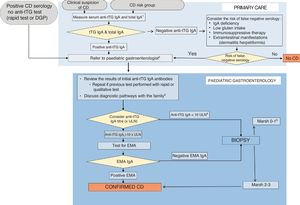 Diagnostic algorithm (adapted from ESPGHAN 202013). 1. IgA deficiency: values below the thresholds established by the laboratory for age or < 0.2g/L in children aged more than 3 years. 2. Ask the family not to initiate a low-gluten or gluten-free diet before the patient is evaluated in the Paediatric Gastroenterology department. 3. Convey the message that regardless of how the diagnosis is reached, treatment with a gluten-free diet is life-long. 4. In case of a positive anti-tTG IgA test with a low titre, confirm sufficient dietary gluten intake. Consider repeating serological tests adding the EMA test. 5. Consider: a. revision of biopsy results; b. false positive anti-tTG result and testing for EMA (if positive EMA=potential CD); c. additional tests (HLA, anti-tTG deposits, cytometry, etc); d. consider followup and retesting ensuring normal gluten intake; e. assess the relevance of symptoms. tTG=tissue transglutaminase antibodies, EMA=endomysial antibodies; DGP=deamidated gliadin peptide antibodies, ULN=upper limit of normal.