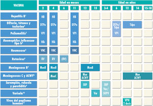 Routine immunisation schedule of the Spanish Association of Pediatrics 2021. (1) Hepatitis B vaccine (HB). – Doses of hexavalent vaccine at ages 2, 4 and 11 months. Children of HBsAg-positive mothers or mothers of unknown serologic status will also be given one dose of monovalent HB vaccine at birth, in addition to 0.5mL of hepatitis B immune globulin (HBIG) if maternal HBsAg-positive status is confirmed. Infants vaccinated at birth will adhere to the routine schedule for year 1 of life, and thus will receive 4 doses of HB vaccine. Unvaccinated children and adolescents should be given 3 doses of monovalent vaccine on a 0, 1 and 6-month schedule. (2) Diphtheria, tetanus and acellular pertussis vaccine (DTaP/Tdap). – 5 doses: primary vaccination with 2 doses, at 2 and 4 months, of DTaP (hexavalent) vaccine; booster at 11 months (third dose) with DTaP (hexavalent) vaccine; at 6 years (fourth dose) with the standard load vaccine (DTaP-IPV), preferable to the low diphtheria and pertussis antigen load vaccine (Tdap-IPV), and at 12–14 years (fifth dose) with Tdap. (3) Inactivated poliovirus vaccine (IPV). – 4 doses: primary vaccination with 2 doses, at 2 and 4 months, and booster doses at 11 months (with hexavalent) and 6 years (with DTaP-IPV or Tdap-IPV). (4) Haemophilus influenzae type b conjugate vaccine (Hib). – 3 doses: primary vaccination at 2 and 4 months and booster dose at 11 months (with hexavalent). (5) Pneumococcal conjugate vaccine (PCV). – 3 doses: the first two at 2 and 4 months, with a booster dose starting at 11 months of age. The vaccine recommended in Spain by the CAV-AEP continues to be the PCV13. (6) Rotavirus vaccine (RV). – 2 or 3 doses of rotavirus vaccine: at 2 and 3–4 months with the monovalent vaccine or at 2, 3 and 4 months or 2, 4 and 5–6 months with the pentavalent vaccine. It is very important to start vaccination between 6 and 12 weeks of life in order to minimise risks, and to complete it before 24 weeks for the monovalent vaccine or 32 weeks for the pentavalent vaccine. Doses must be given at least 4 weeks apart. Both vaccines may be given at the same time as any other vaccine. (7) Meningococcal B vaccine (MenB). – 4CMenB. 3 doses: start at age 2 months, with a primary series of 2 doses at least 2 months apart and a booster starting at age 12 months and at least 6 months after the last dose in the primary series. It can be administered at the same time as other vaccines in the schedule, although this could increase fever, so another option is to administer it 1 or 2 weeks apart from other injectable inactivated vaccines, up to age 12 months, to minimise potential reactogenicity. The separation by 1–2 weeks is not necessary for the MenACWY, MMR, varicella and rotavirus vaccines. Vaccination is also recommended at any age in risk groups: anatomic or functional asplenia, complement component deficiency, treatment with eculizumab or ravulizumab, haematopoietic stem cell transplant recipients, infection by HIV, prior episode of IMD caused by any serogroup, and contacts of an index case of IMD caused by serogroup B in the context of an outbreak. (8) Meningococcal C conjugate vaccine (MenC) and meningococcal ACWY conjugate vaccine (MenACWY). – 1 dose of conjugate MenC-TT at age 4 months. The CAV-AEP recommends 1 dose of the MenACWY conjugate vaccine at age 12 months and 12–14 years, and a progressive catch-up vaccination schedule to be completed by age 18 years. In ACs where vaccination with MenACWY is not included in the routine schedule, if parents choose not to administer the MenACWY vaccine at 12 months, the MenC-TT vaccine funded by the regional government must be administered instead. Administration of the MenACWY vaccine is still particularly recommended in children and adolescents that are to live in countries where the vaccine is administered at this age (United States, Canada, Argentina, United Kingdom, Austria, Greece, Netherlands, Italy and Switzerland) and for children with risk factors for IMD: anatomic or functional asplenia, complement component deficiency, treatment with eculizumab or ravulizumab, hematopoietic stem cell transplant recipients, HIV infection, prior episode of IMD caused by any serogroup, and contacts of an index case of IMD caused by serogroup A, C, W or Y in the context of an outbreak. Individuals traveling to Mecca for religious reasons and to the African meningitis belt during the dry season should also receive the MenACWY vaccine. (9) Measles, mumps and rubella vaccine (MMR). – 2 MMR vaccine. The first at age 12 months and the second at age 3–4 years. The tetravalent MMRV vaccine may be administered for the second dose. Susceptible patients outside the specified ages will be vaccinated with 2 doses of MMR at least 1 month apart. (10) Varicella vaccine (Var). – 2 doses: the first at age 15 months (age 12 months is also acceptable) and the second at age 3–4 years. The tetravalent vaccine (MMRV) may be used for the second dose. Susceptible patients outside the specified ages will be vaccinated with 2 doses of monovalent Var vaccine at least 1 month apart. (11) Human papillomavirus vaccine (HPV). – Universal routine vaccination of all girls and boys, at age 12 years, to prevent HPV-related oncological diseases. All 3 HPV vaccines are authorised for use in male individuals, although there is little evidence on the use of the HPV2 vaccine in this sex. Administration of 2 doses at age 12 years. The vaccination schedule depends on the vaccine used: for the tetravalent vaccine, a 2-dose series (at 0 and 6 months) between ages 9 and 13 years and a 3-dose series (at 0, 2 and 6 months) in those aged ≥14 years; for the 2-valent and 9-valent vaccines, a 2-dose series (at 0 and 6 months) between ages 9 and 14 years and a 3-dose series (at 0, 1–2 [depending on the vaccine used] and 6 months) in those aged ≥15 years. The HPV vaccine may be administered at the same time as the MenC, MenACWY, hepatitis A and B and Tdap vaccines. There are no data on its coadministration with the varicella vaccine, although it should not cause any problems.