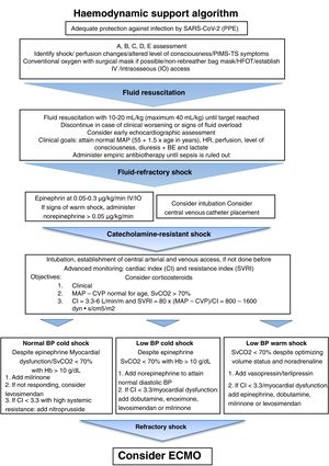 Algorithm for haemodynamic support in patients with PIMS-TS. BE, base excess; CI, cardiac index; CVP, central venous pressure; ECMO, extracorporeal membrane oxygenation; HFOT, high-flow oxygen therapy; HR, heart rate; IV, intravenous; MAP, mean arterial pressure; PPE, personal protective equipment; RR, respiratory rate; SBP, systolic blood pressure; SvCO2, central venous oxygen saturation; SVRI, systemic vascular resistance index. Adapted from the American College of Critical Care Medicine Clinical Practice Parameters for Hemodynamic Support of Pediatric and Neonatal Septic Shock. Critical Care Medicine 2017;45:1062-1093.