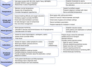 Pretransport stabilization. ECG, electrocardiogram; EtCO2, end-tidal carbon dioxide; ETT, endotracheal tube; GT, gastric tube; HR, heart rate; IBP, invasive (intra-arterial) blood pressure; IMV, invasive mechanical ventilation; IV, intravenous; NB, newborn; NIBP, noninvasive blood pressure; NIRS, near infrared spectroscopy; NIV, noninvasive ventilation; RR, respiratory rate; Rx, X-ray; SpO2, oxygen saturation; temp, temperature.