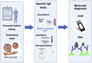 Relevant advances in the diagnostic approach to allergy. The history-taking and cutaneous tests have been the essential tools for diagnosis from the beginning. In recent years, new diagnostic methods have been developed. The figure shows examples of commercial tests that allow qualitative and quantitative detection of specific IgE as well as developed molecular diagnostic tools (ALEX®, ISAC®) developed more recently to assess sensitivity to a large number of allergen components.