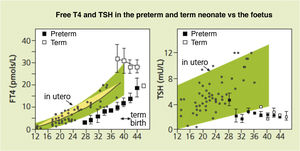 Serum concentrations of free thyroxine (FT4) in preterm infants born at 27–36 weeks of gestation at different time points post birth are not only lower compared to term infants of the same postmenstrual age, but also clearly lower than the concentrations that would have been achieved in utero.