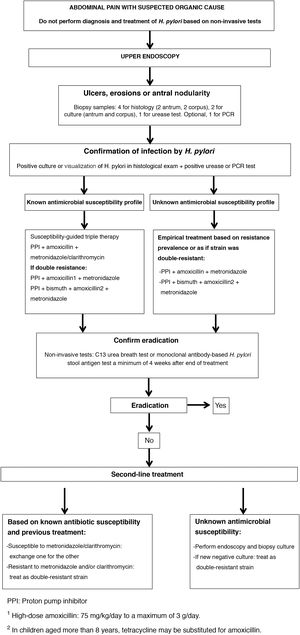Algorithm for management of H. pylori infection in children. PPI, proton pump inhibitor. 1High-dose amoxicillin: 75mg/kg/day to a maximum of 3g/day. 2In children aged more than 8 years, tetracycline may be substituted for amoxicillin.