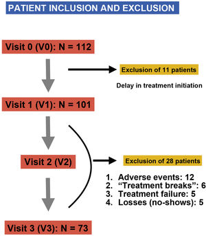 Excluded patients and patients lost to follow-up.