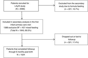 Flowchart of study participants. BF, breastfeeding.