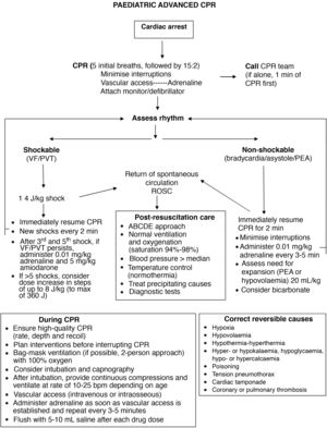 Paediatric advanced CPR algorithm.
