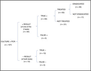 Tree diagram showing the total number of patients in who eradication was achieved with performance of both culture and PCR.