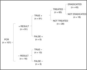 Tree diagram showing the total number of patients in which eradication was achieved with performance of PCR alone for initial diagnosis.