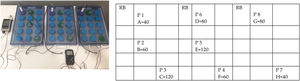 Distribution of external probes and human milk samples in the pasteurizer. RB, reference bottle. P1–P8, position of external probes. A–H, position of different volumes of human milk samples for nutritional analysis.