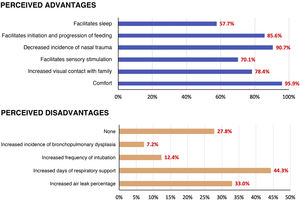 Advantages and disadvantages perceived by surveyed professionals.