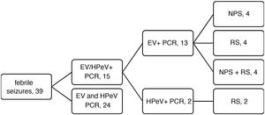 Flow chart of the study sample. EV, enterovirus; HPeV, human parechovirus; RS, rectal swab; NPS, nasopharyngeal swab.