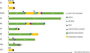 Graphic representation of the cohort treated with CAR T-cell infusion.