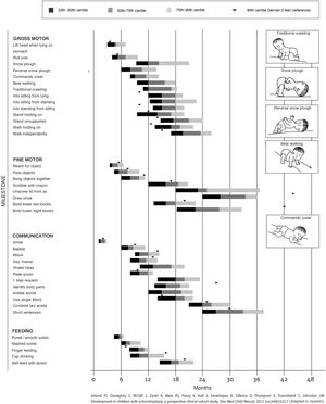 Tool for the assessment of development in children with achondroplasia developed by Ireland et al. (2012), reproduced with permission from the autor.40