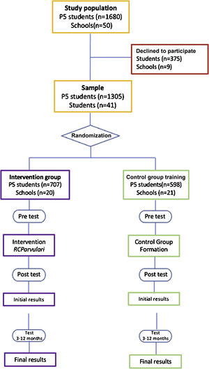 Flowchart presenting the distribution of participants into groups and the phases of the study.