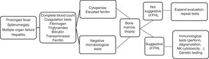 Proposed diagnostic algorithm for FLH.