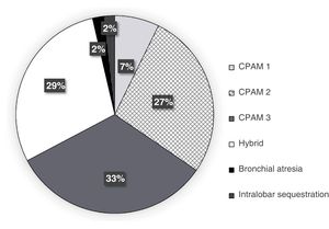 Distribution of CLMs diagnosed through the antenatal ultrasound examination.