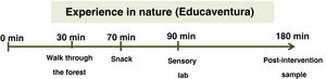 Timeline of the "Educaventura" in the Woods educational experience in nature.